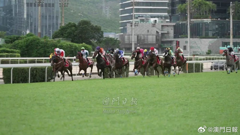 今晚澳门马出什么特马,今晚澳门马会出什么样的特马？探索赛马世界的神秘面纱