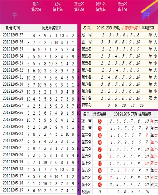 澳门王中王100的资料20,澳门王中王100的资料详解，历史背景与成就分析（2023版）