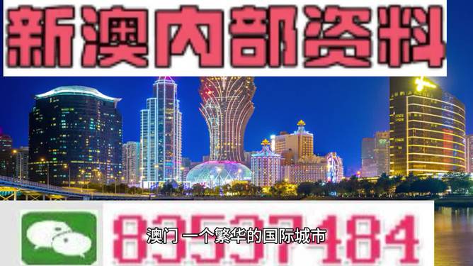 2024年新澳门王中王免费,探索新澳门王中王免费体验——2024年的独特魅力