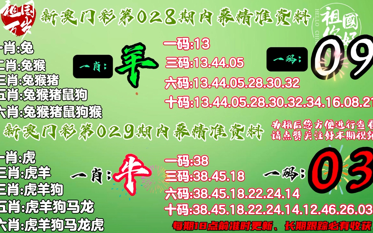 2004管家婆一肖一码澳门码,探索2004年澳门码中的管家婆一肖一码之谜