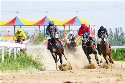 2024今晚香港开特马,今晚香港开特马，探寻赛马文化魅力与未来展望