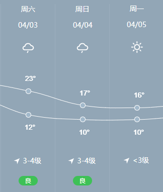 2025年1月1日 第11页