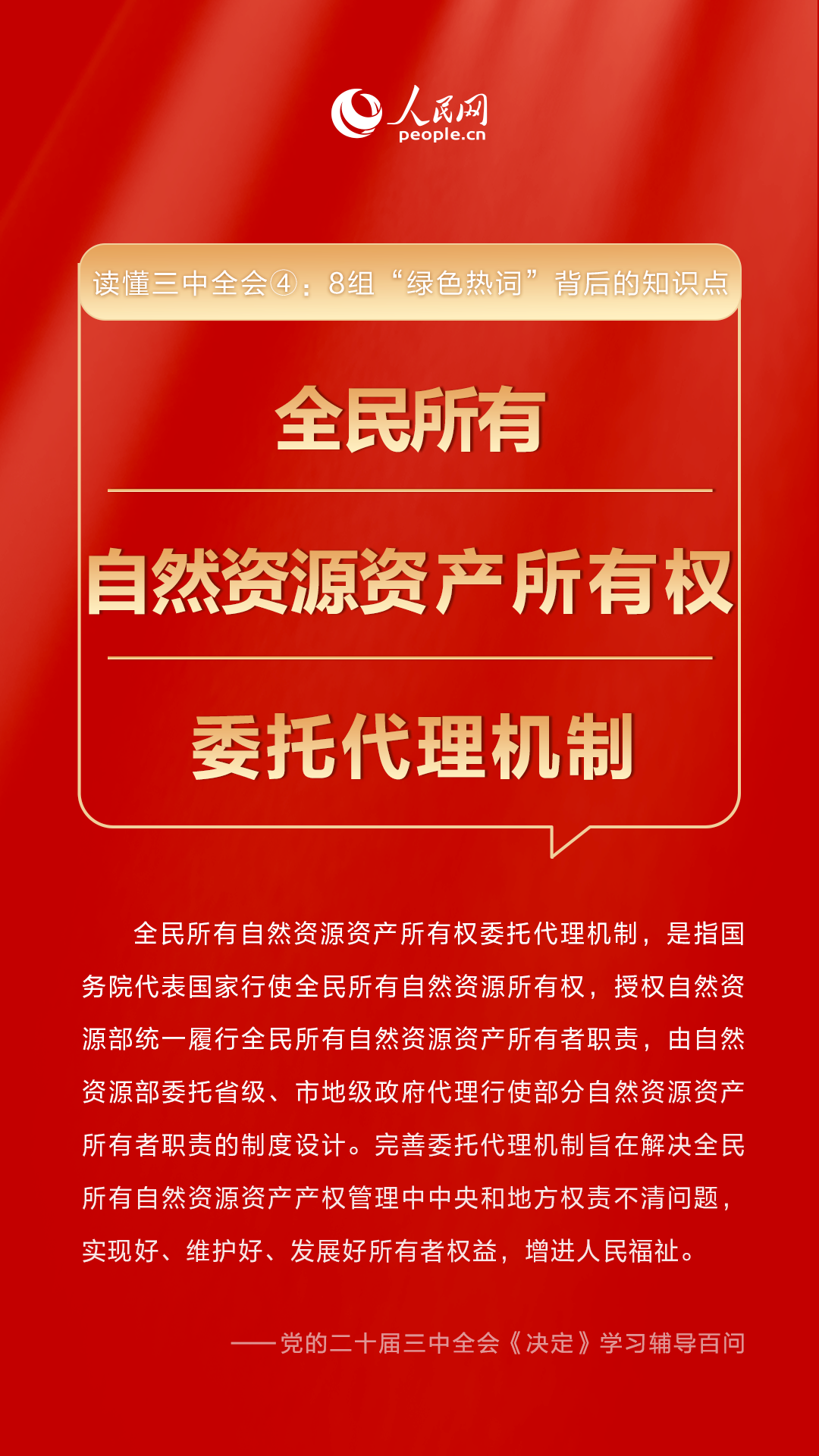 管家婆必中一肖一鸣,管家婆必中一肖一鸣——揭秘神秘预测背后的故事