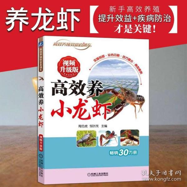 正版全年免费资料大全视频,正版全年免费资料大全视频，知识、技能与娱乐的完美结合