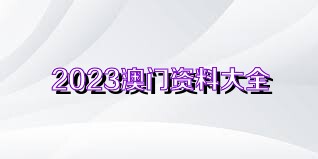 澳门天天免费精准大全,澳门天天免费精准大全，误解与警示