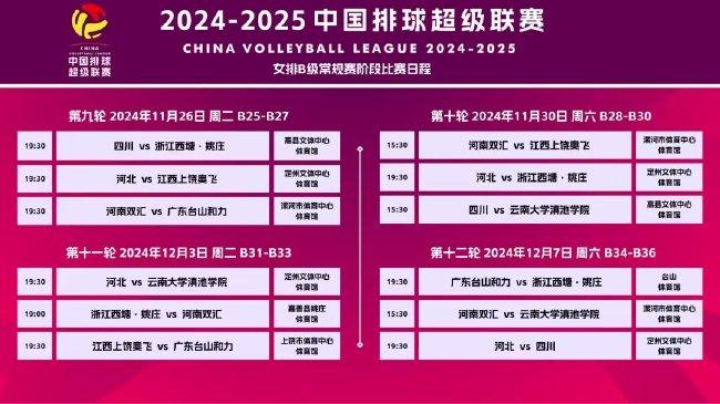 2025正版资料大全好彩网,探索未来，2025正版资料大全与好彩网共创辉煌