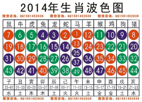 2025十二生肖49码表,揭秘2025年十二生肖与49码表的不解之缘