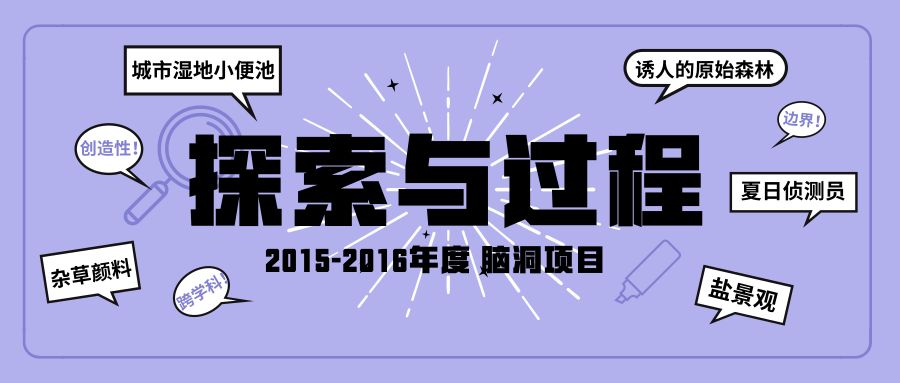 2025澳家婆一肖一特,探索未来，聚焦澳家婆与生肖特选在2025年的独特魅力