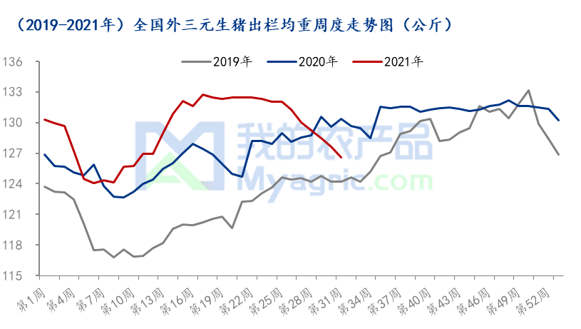 777778888精准跑狗063期 02-06-11-14-32-46C：22,探索精准跑狗，777778888的秘密与策略解析——以第063期为例